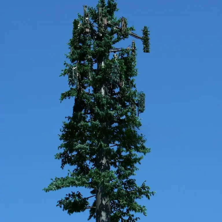 Bionic Tree Communication Tower