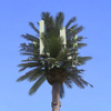 Bionic Tree Communication Tower