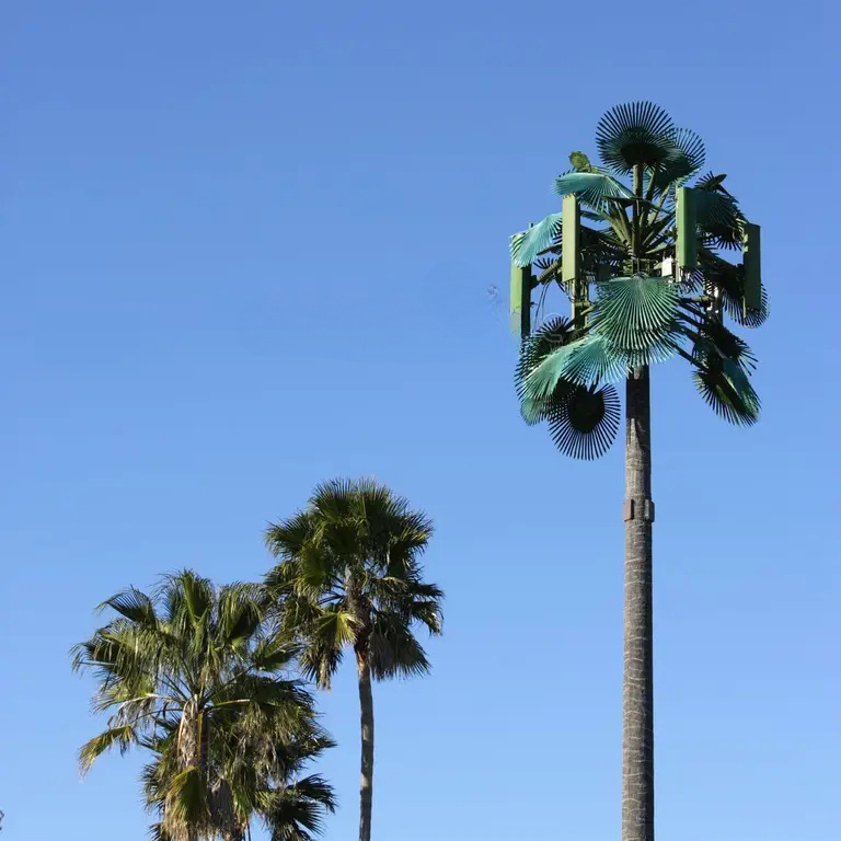Bionic Tree Communication Tower