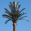 Bionic Tree Communication Tower