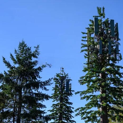 Camouflage Tree Tower for Urban Telecom Projects